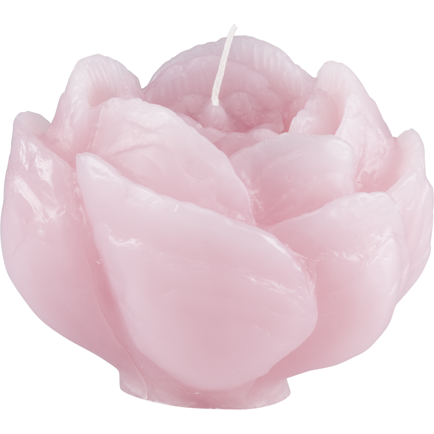 Pioni Candle