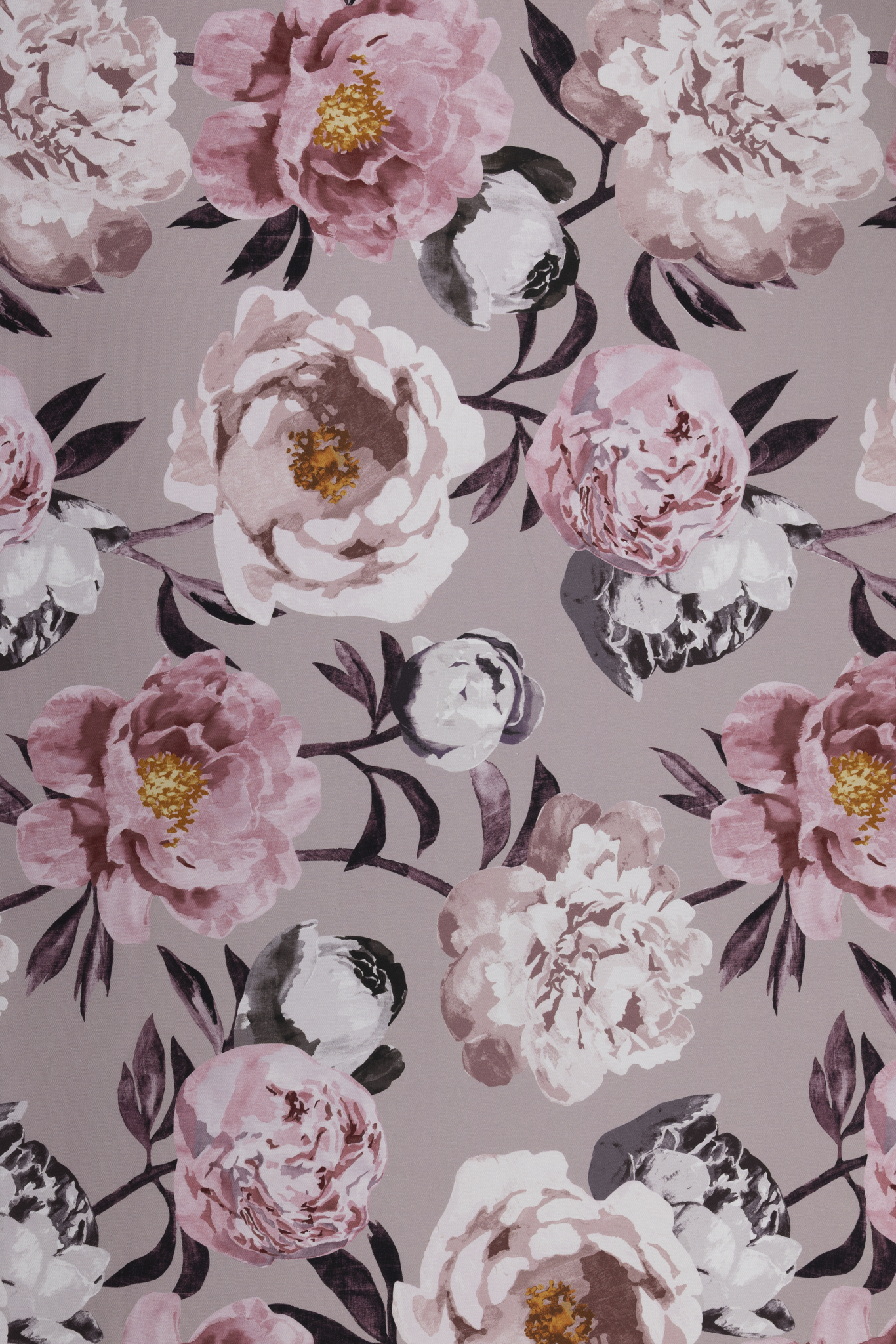 Pioni Coated Cotton Fabric