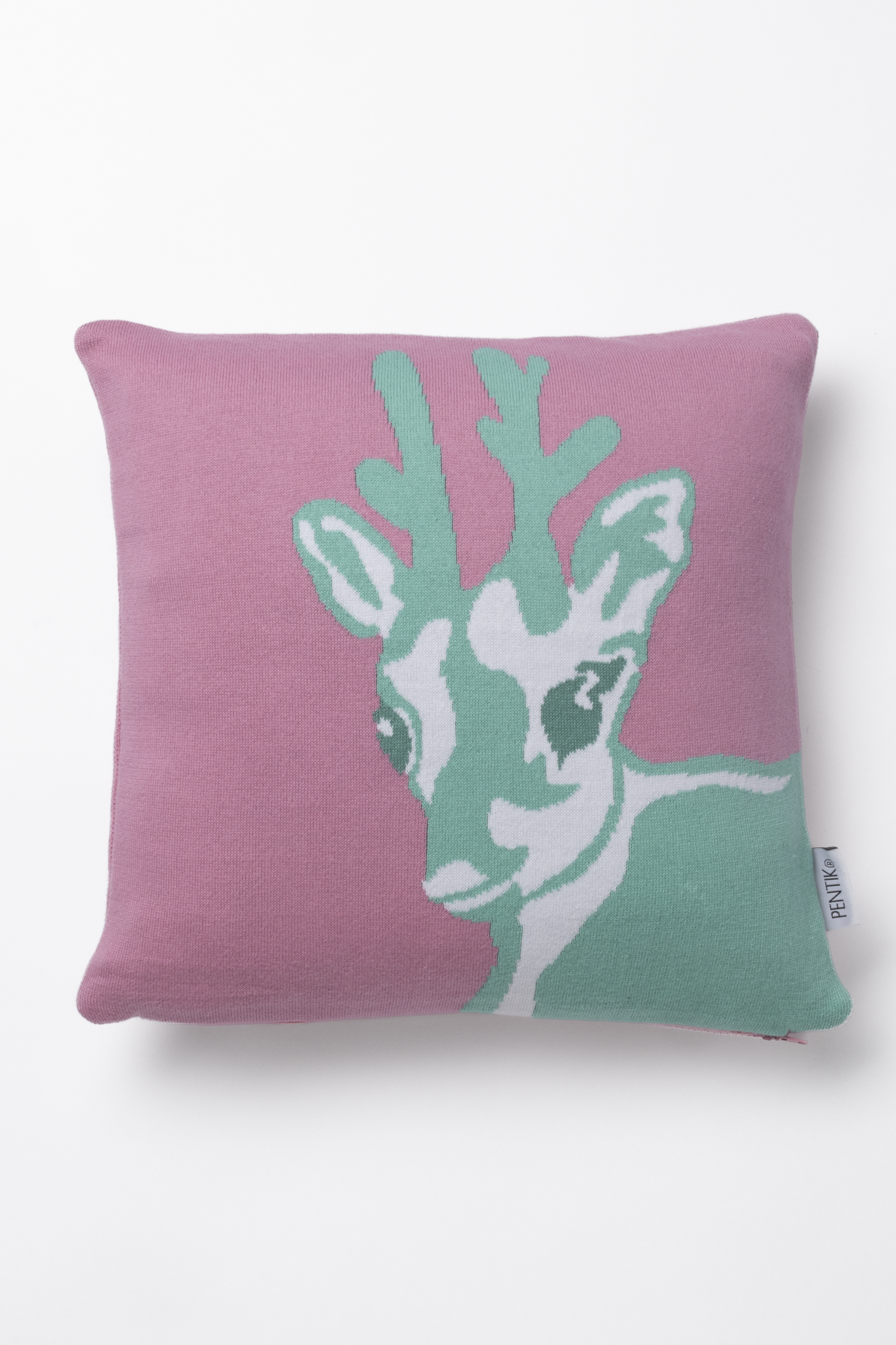 Vasa Cushion Cover