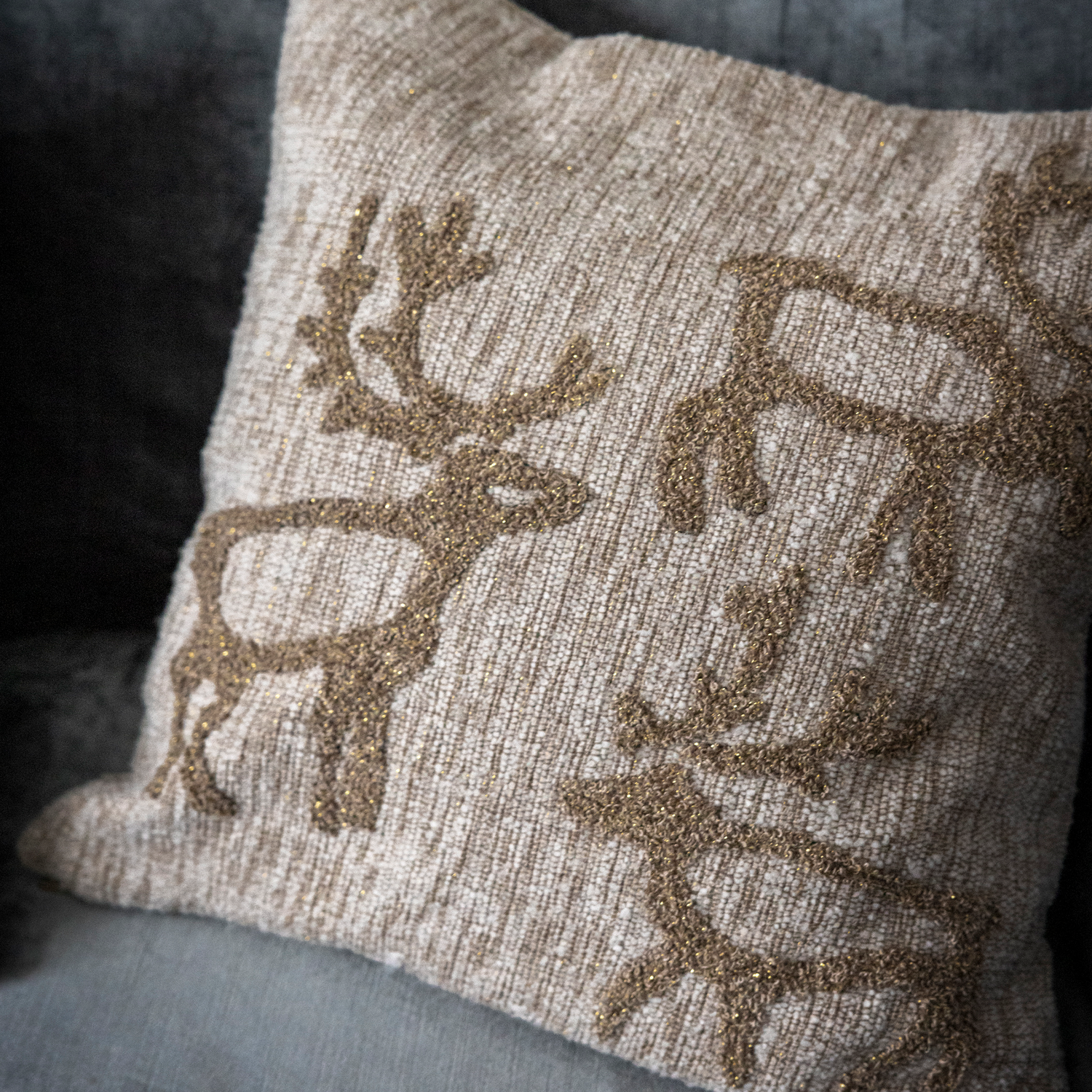 Saaga Embroidered Cushion Cover