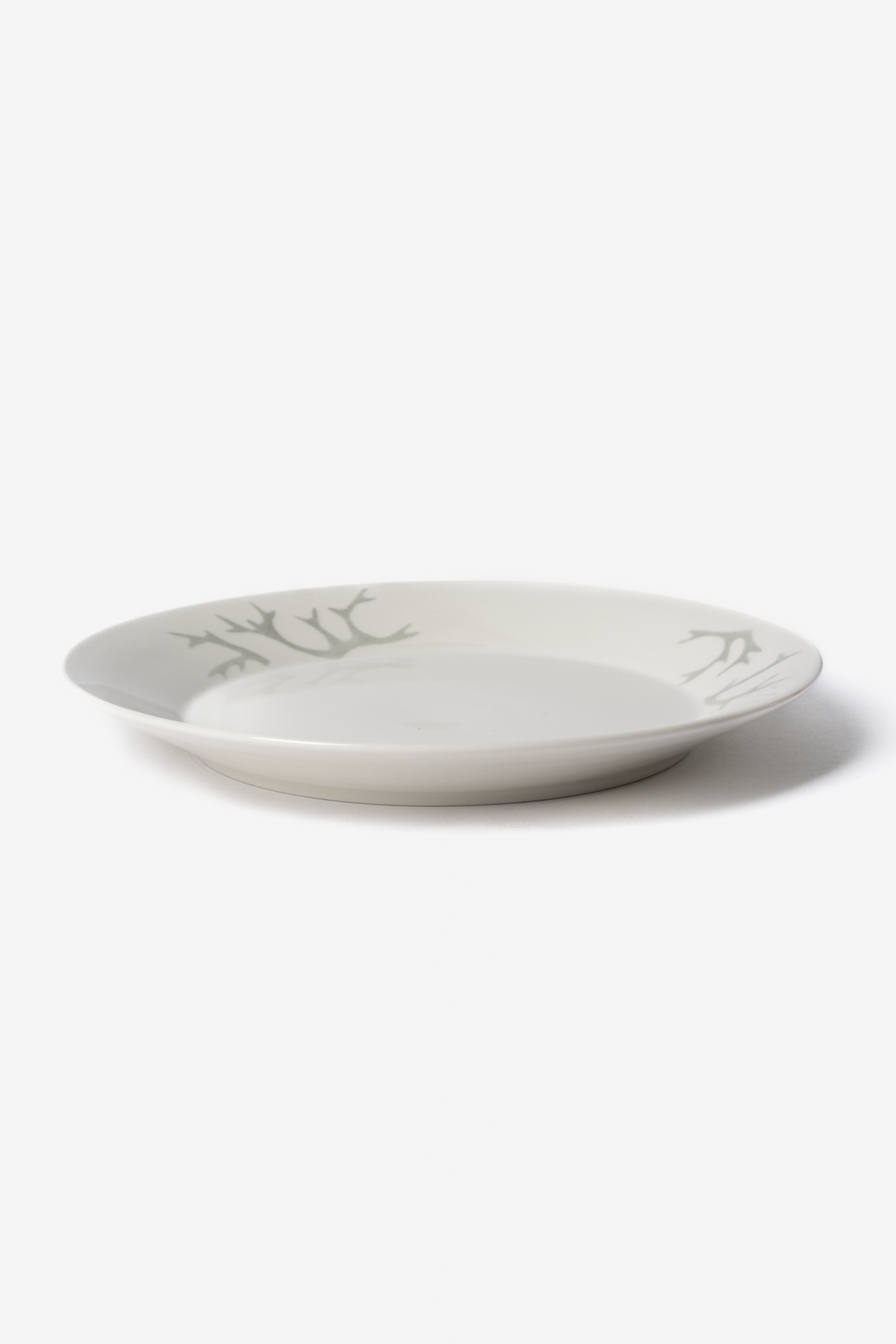 Saaga Plate