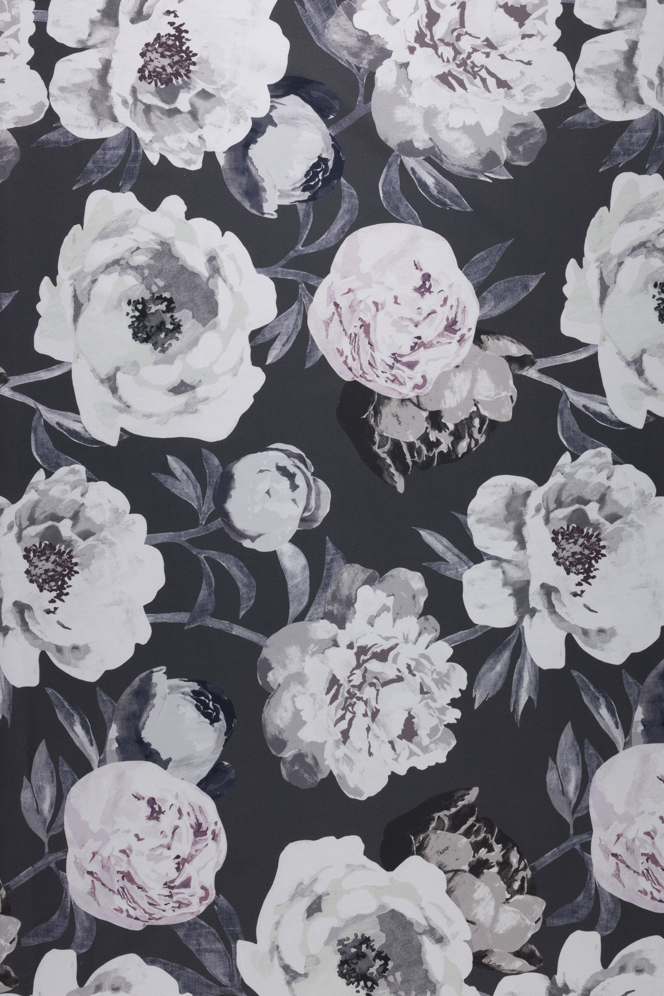 Pioni Coated Cotton Fabric