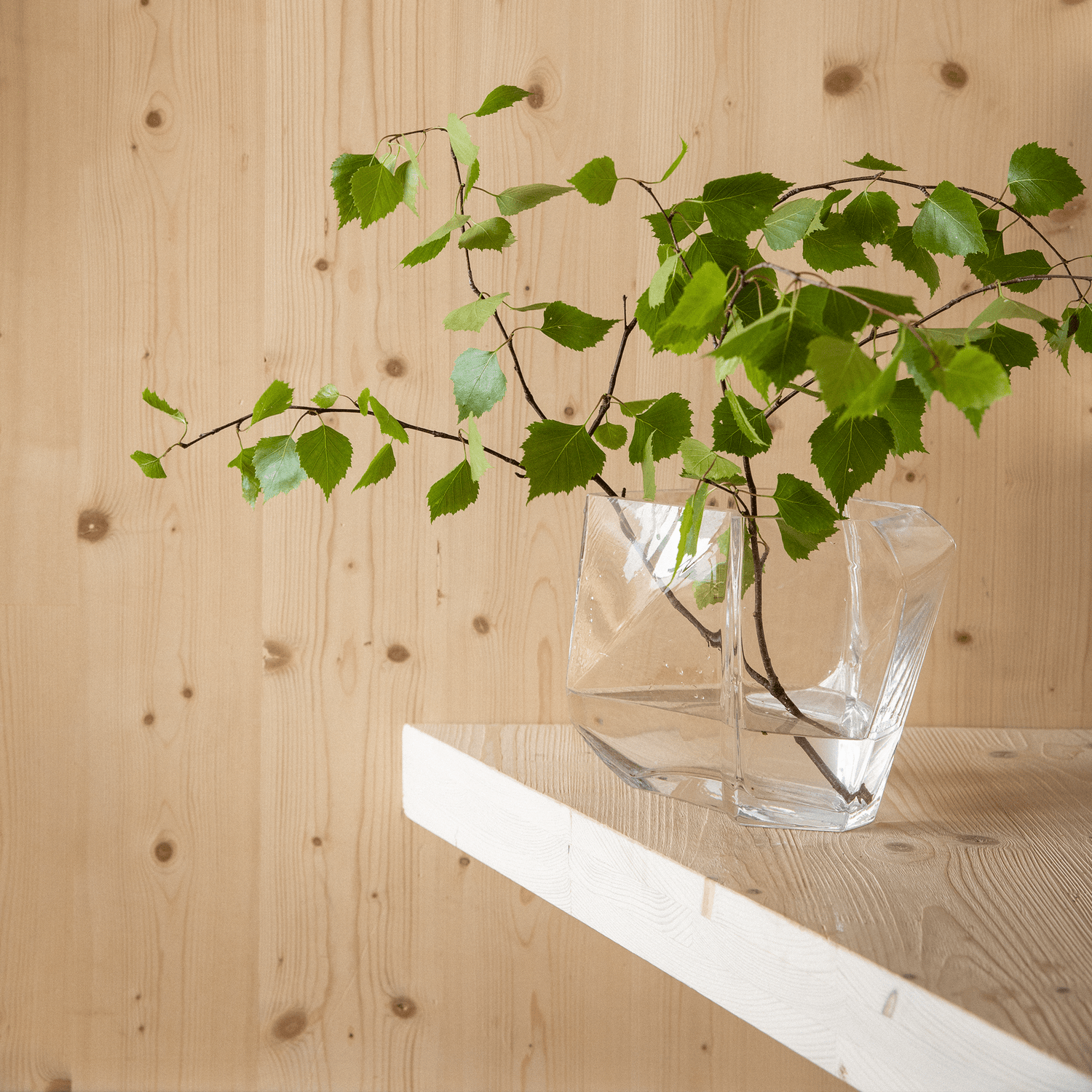 Clear design glass vase from Lohkare collection with birch branches.