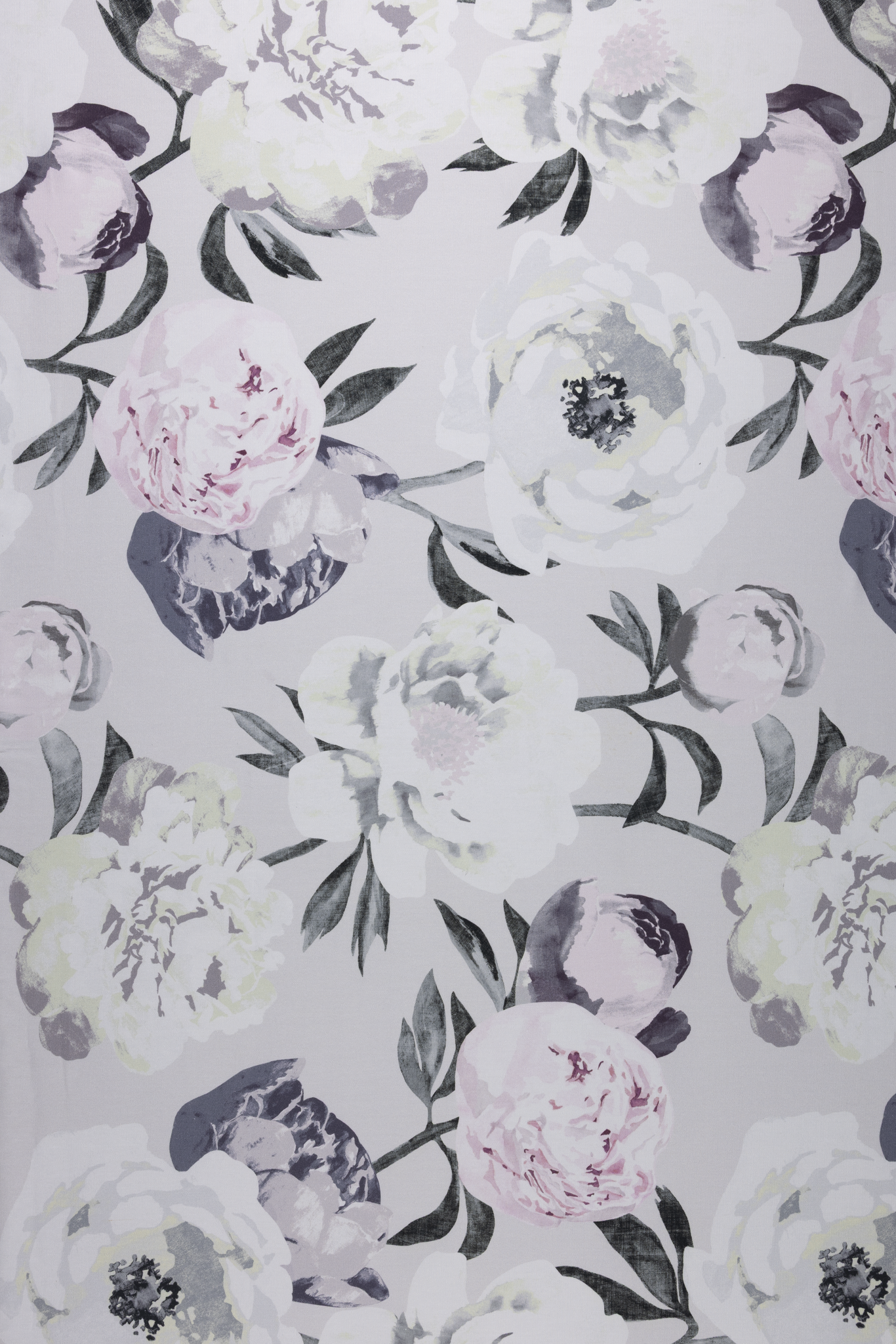 Pioni Coated Cotton Fabric