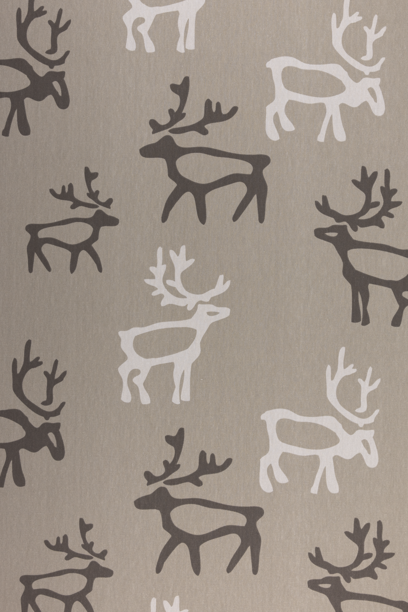 Saaga Cotton Fabric