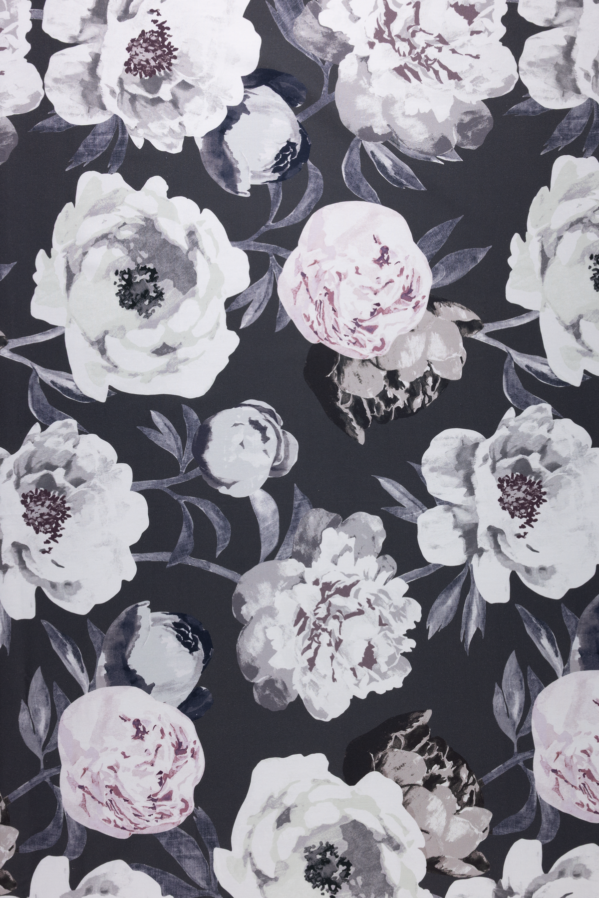 Pioni Coated Cotton Fabric