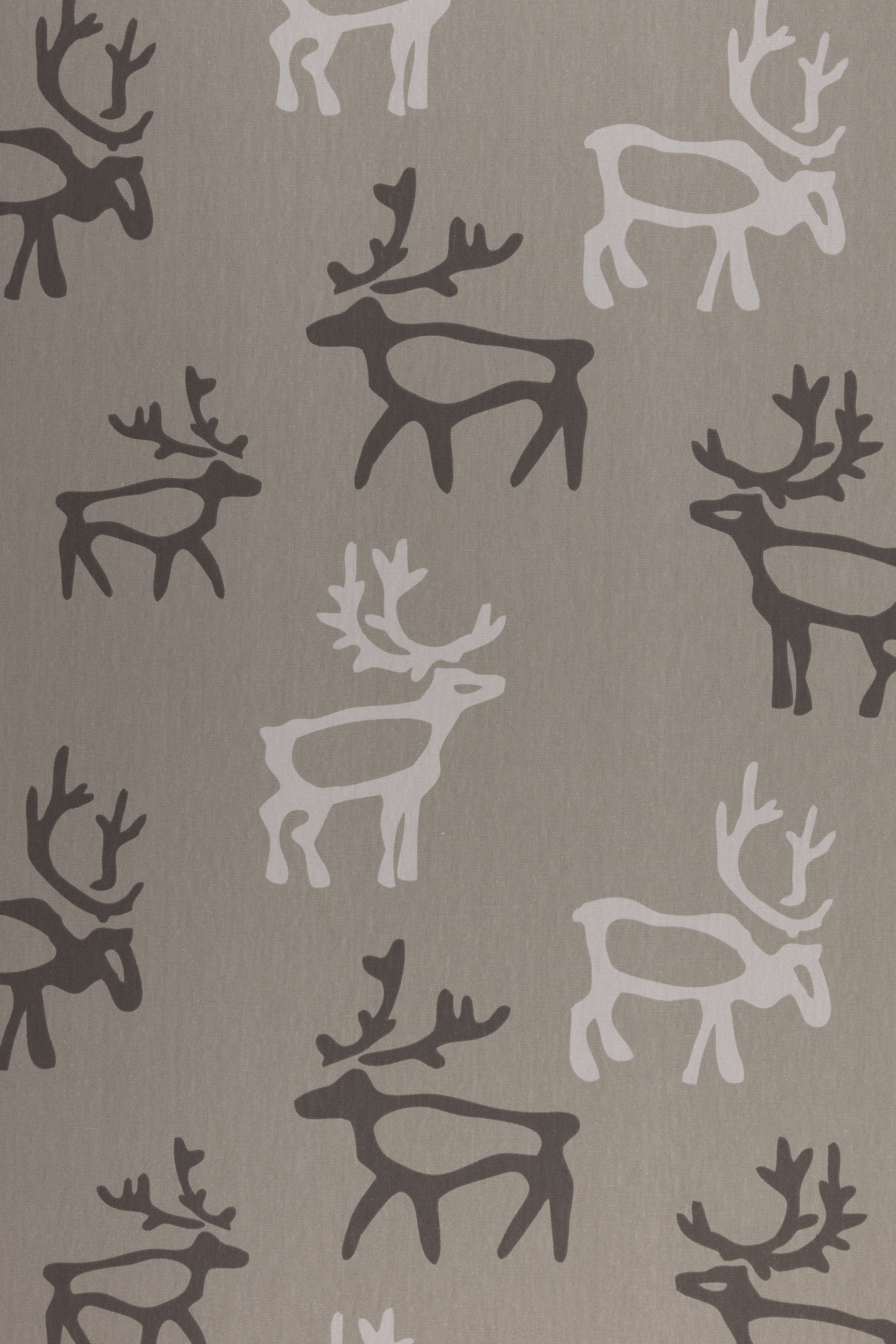 Saaga Coated Cotton Fabric