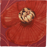 Haave Napkin