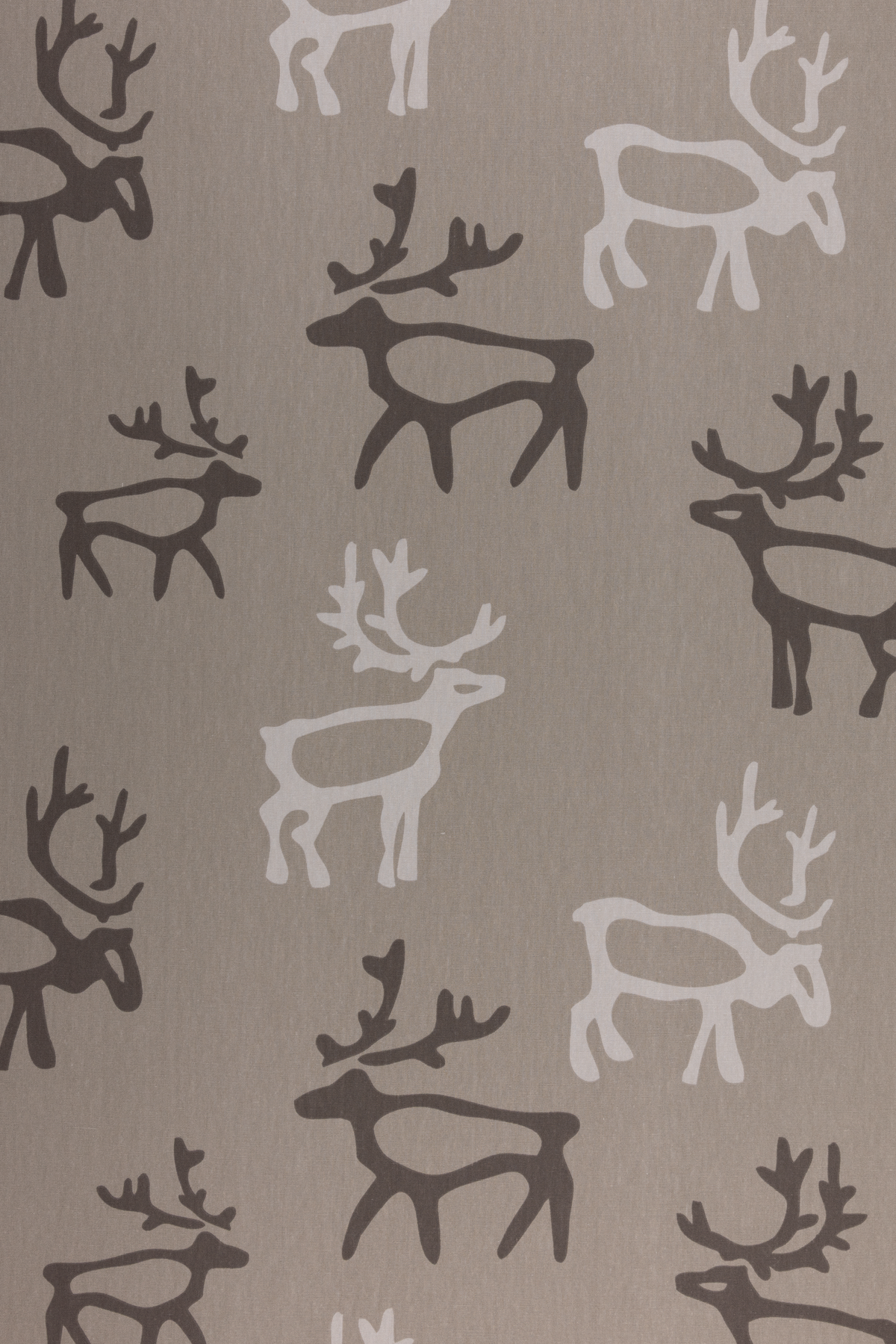 Saaga Cotton Fabric