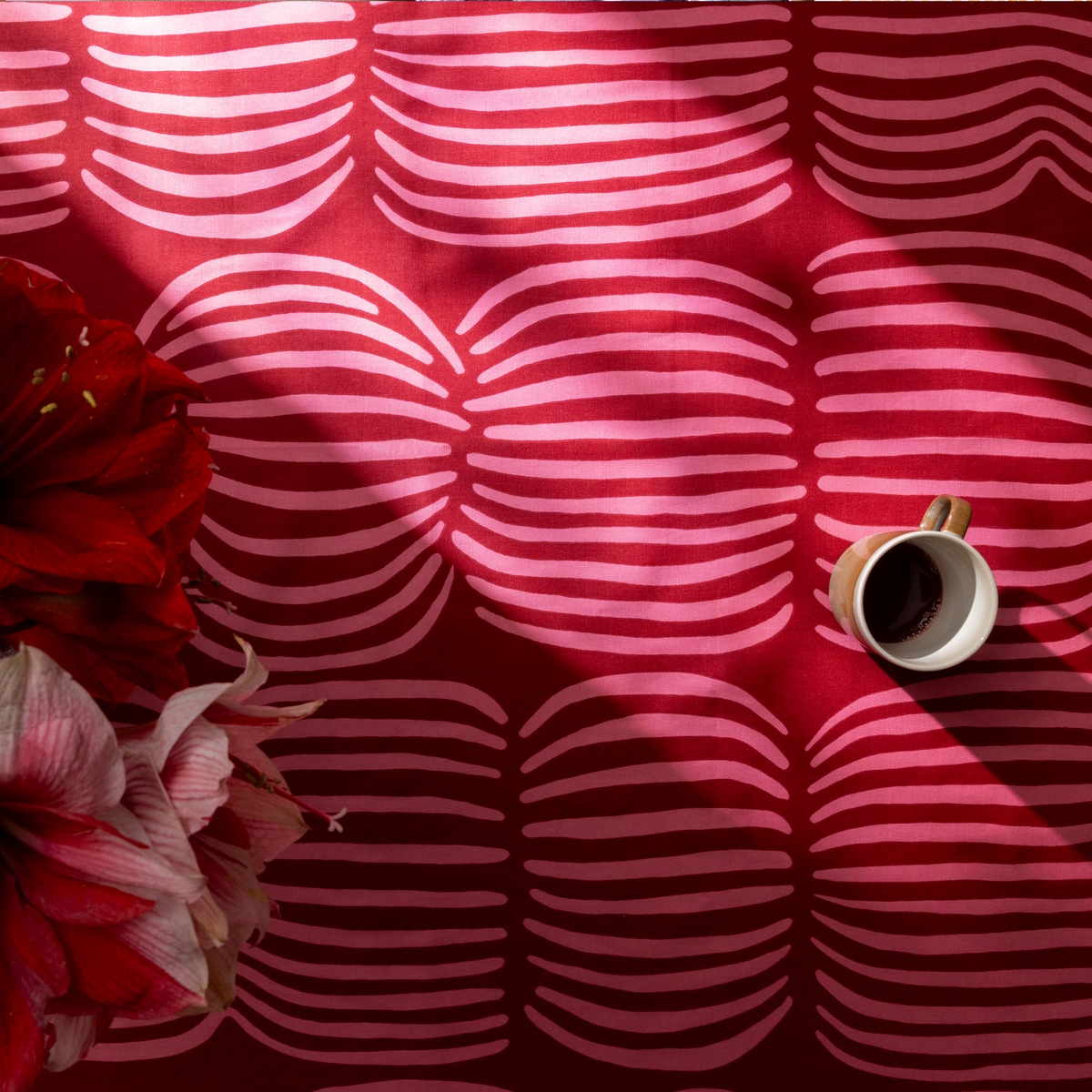 Vilja Coated Cotton Fabric