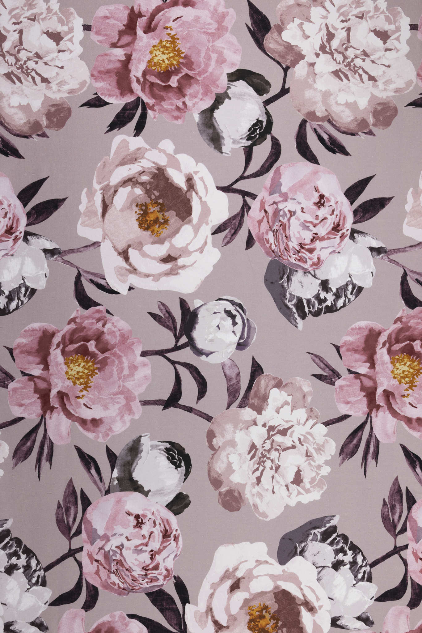 Pioni Coated Cotton Fabric