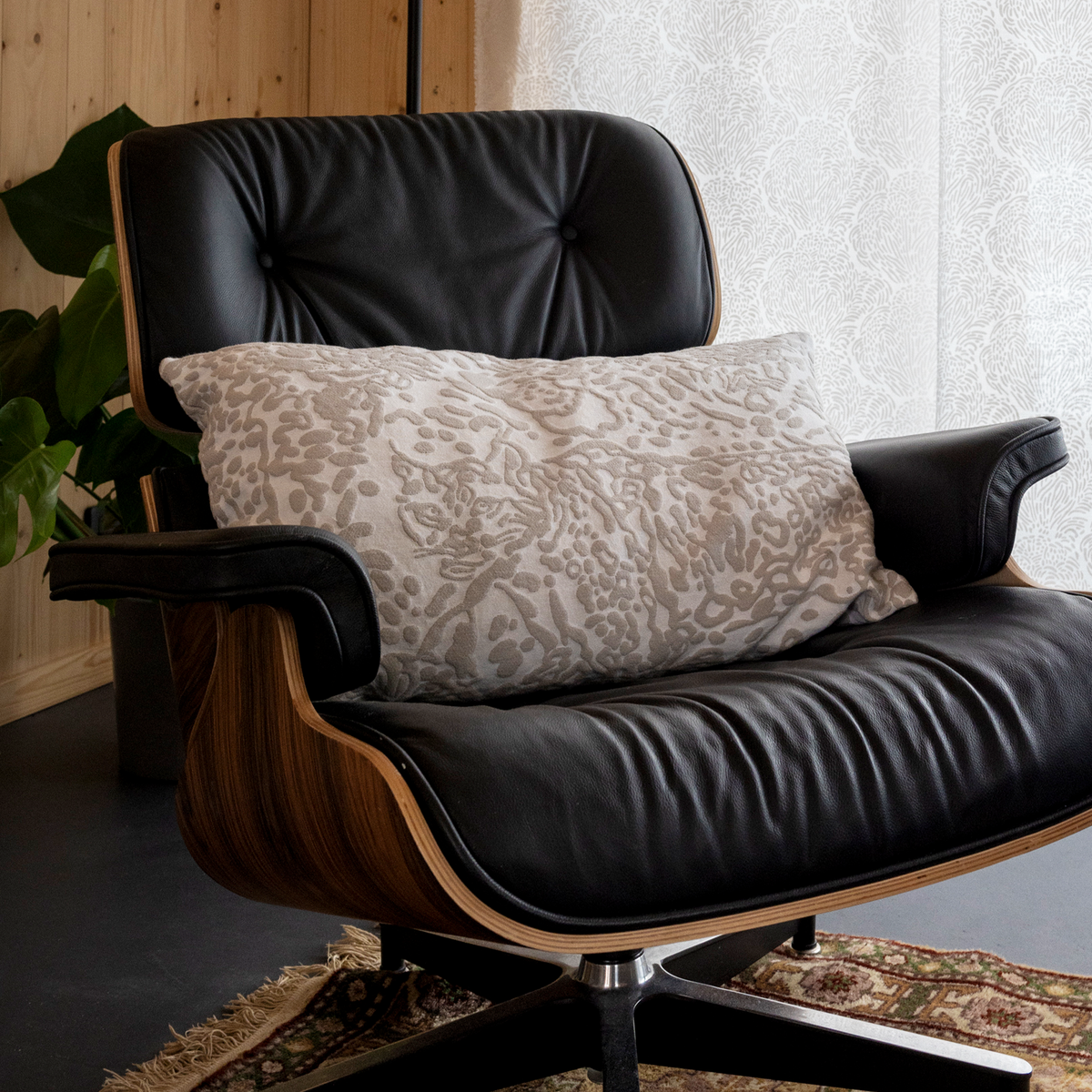 Villikissa Tyynynpäällinen