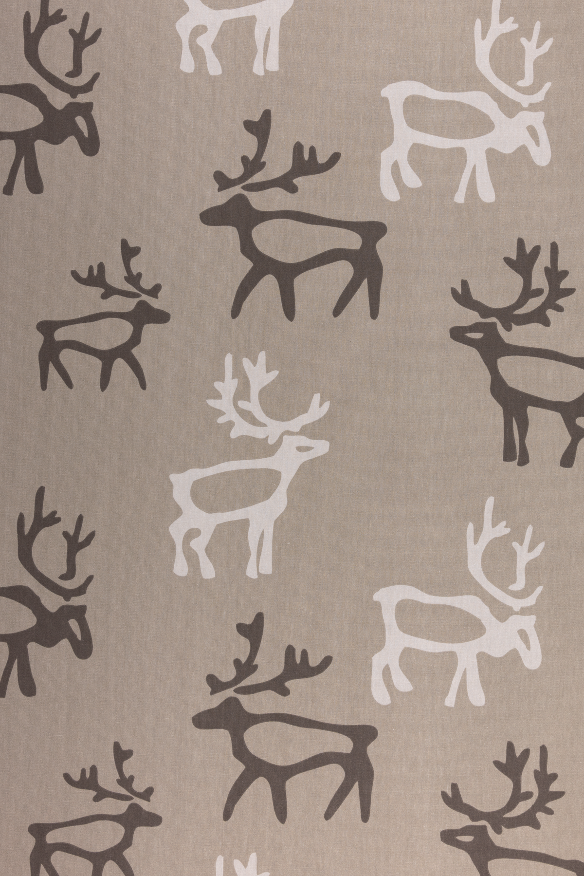 Saaga Coated Cotton Fabric