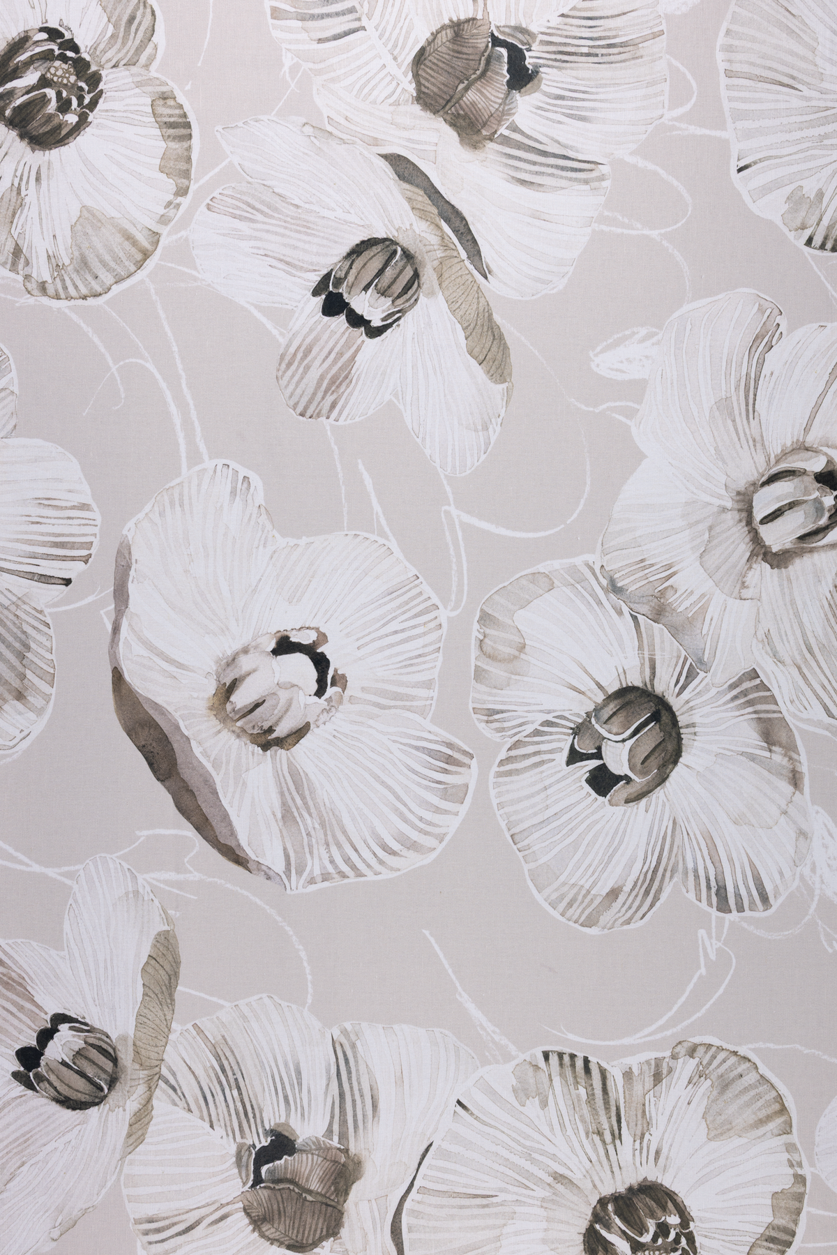 Haave Coated Cotton Fabric