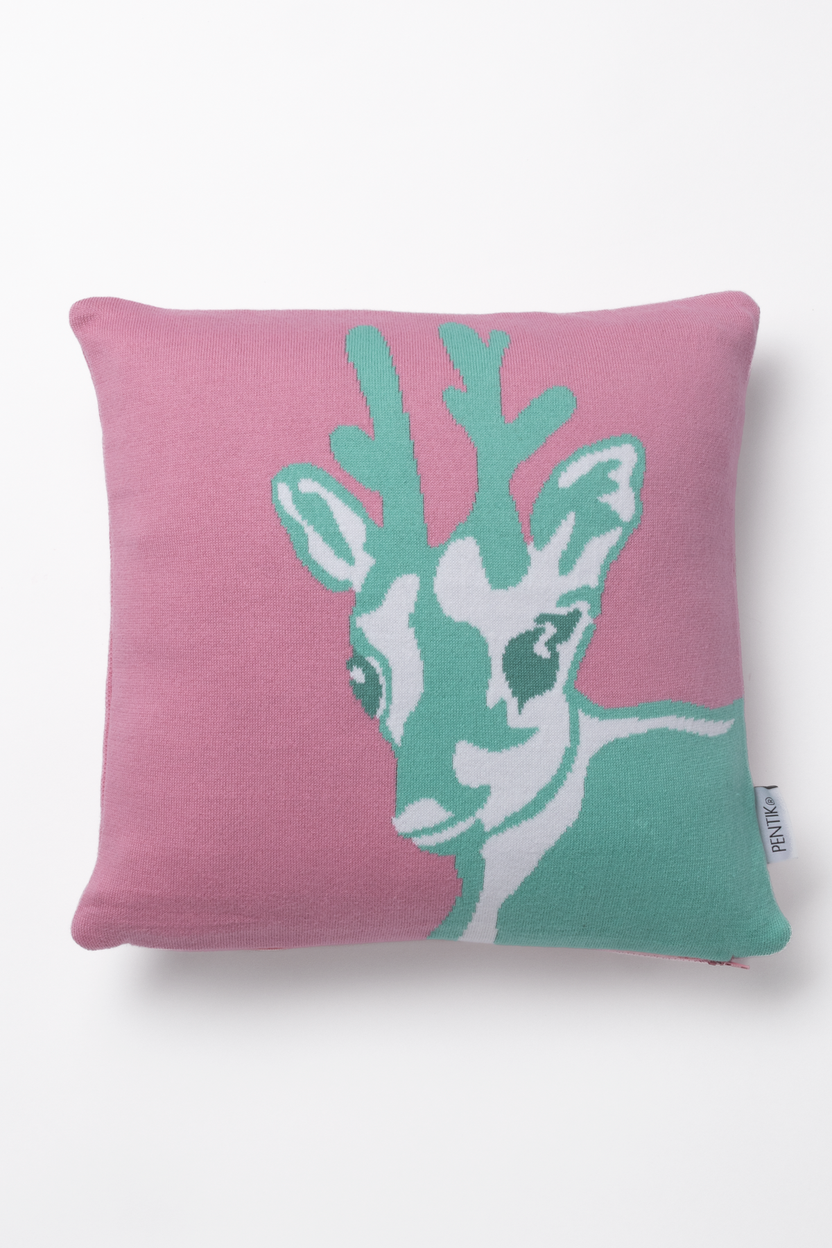 Vasa Cushion Cover