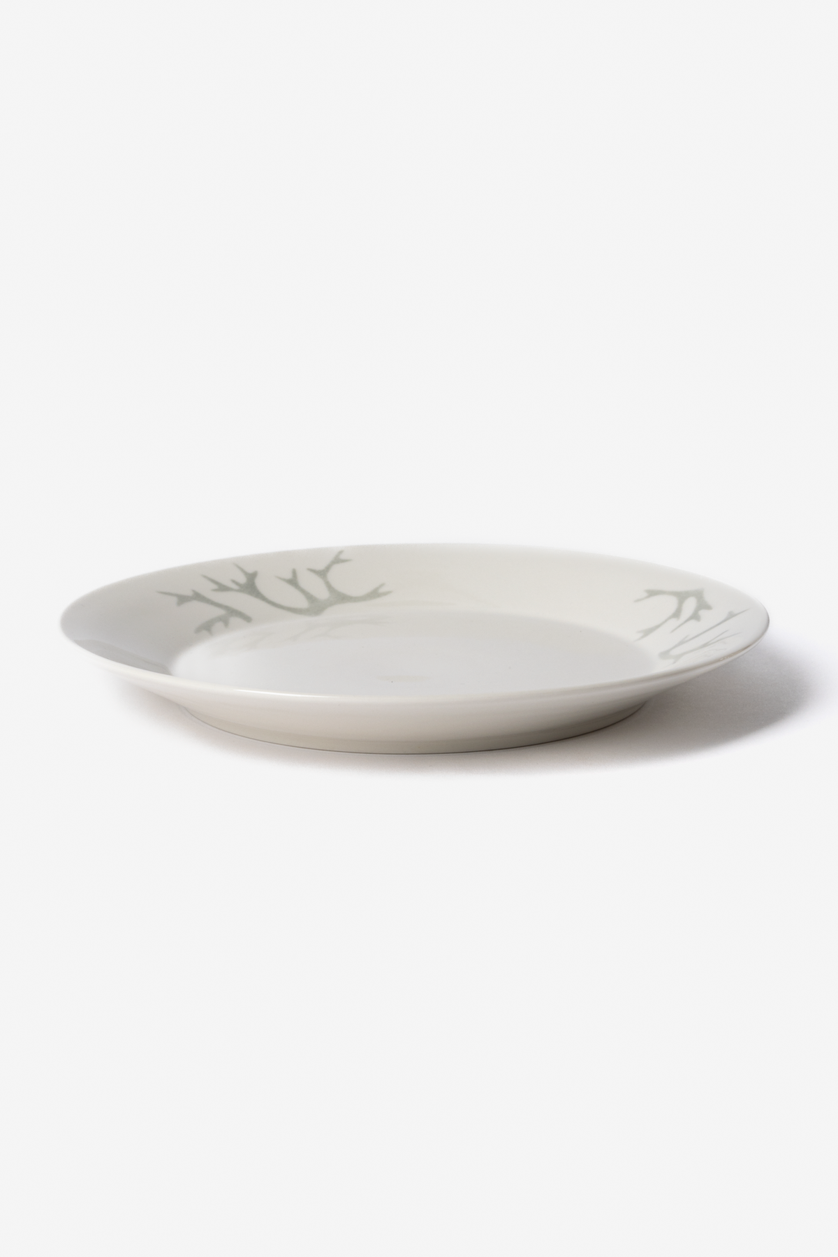 Saaga Plate