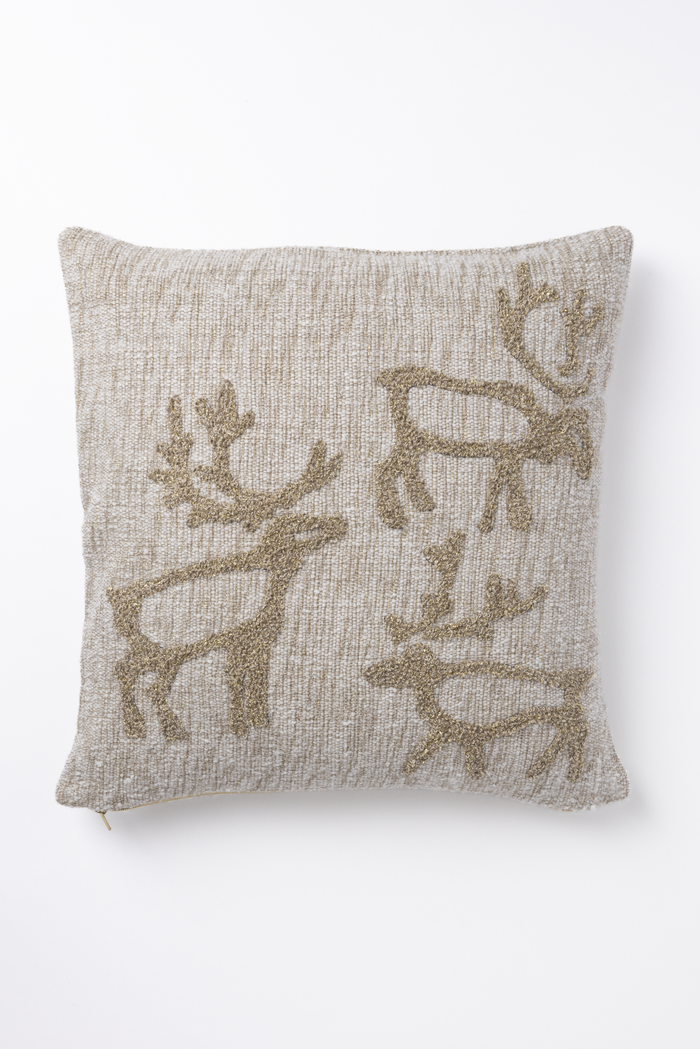 Saaga Embroidered Cushion Cover