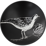 Piirroksia Studio YSMY Lintu Bowl