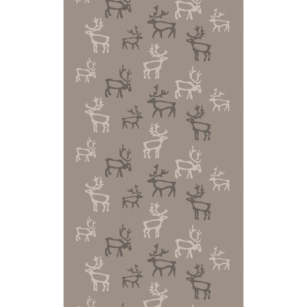 Saaga Cotton Fabric